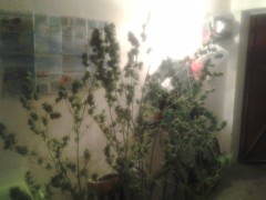 20141008_184553.jpg