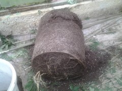 20141009_095756.jpg