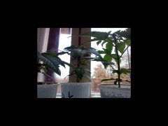 rps20141015_130222.jpg