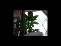 rps20141015_130859.jpg