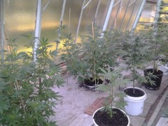 20140716_060657.jpg