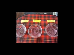 rps20140922_141901.jpg